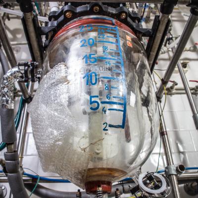 30 L duplicator glass reactor