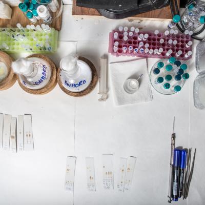 laboratory equipment