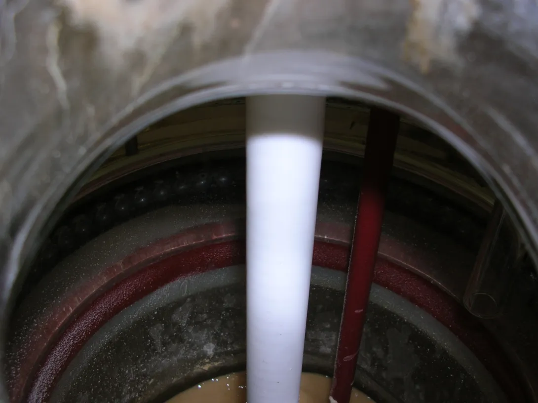 View into the reactor